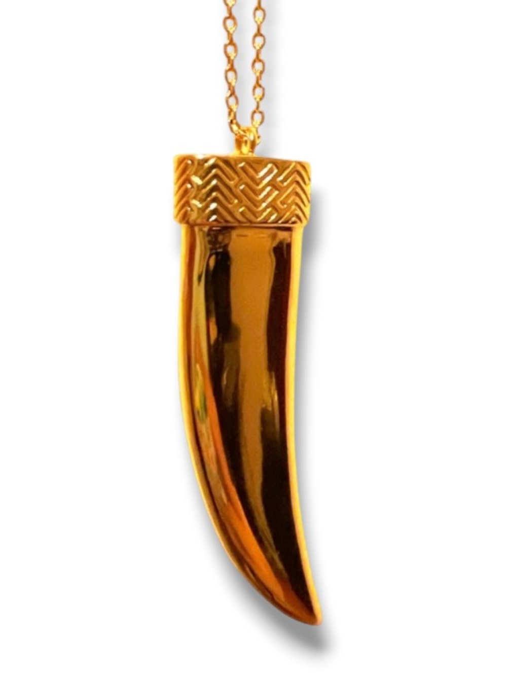 Gorjana Gold Tooth Pendant Necklace Long Chain Layering Statement Jewelry NWOT